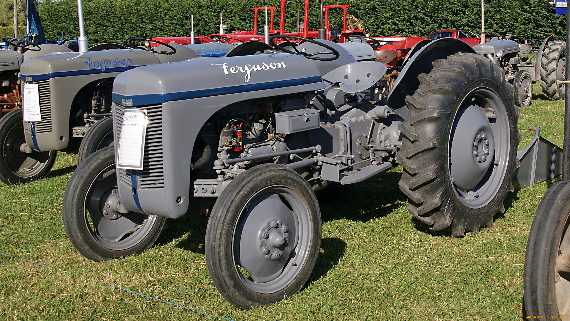 1954 ferguson tea tractor, , , , 